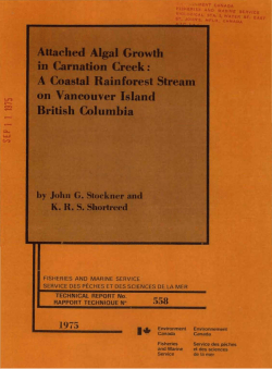 Attached Algal Growth in Carnation Creek: A Coastal Rainforest
