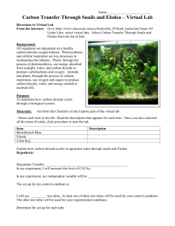 Carbon Transfer Through Snails and Elodea Virtual Lab