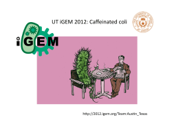 Caffeine - iGEM 2012