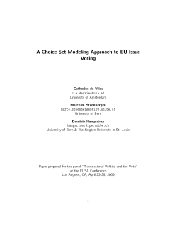 A Choice Set Modeling Approach to EU Issue Voting
