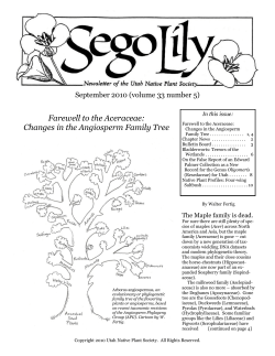 Farewell to the Aceraceae - Utah Native Plant Society