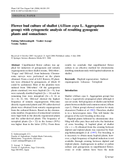 Flower Bud Culture of Shallot (Allium cepaL. Aggregatum group