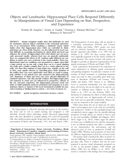 Objects and landmarks: Hippocampal place cells respond differently