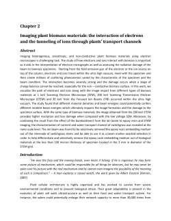 Imaging plant biomass materials: the interaction of electrons and the