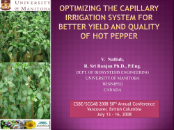 Optimization of the capillary irrigation system for better yield and