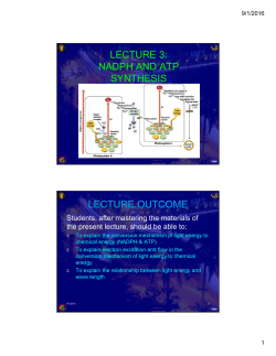 lecture 3: nadph and atp synthesis lecture outcome