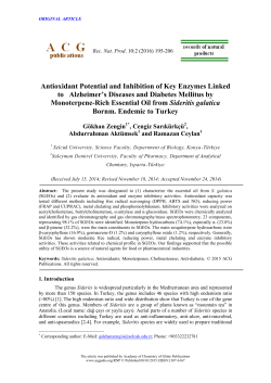Antioxidant Potential and Inhibition of Key Enzymes Linked to