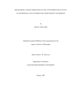 MECHANISTIC CHARACTERIZATION OF THE ATP HYDROLYSIS