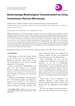 Bacteriophage Morphological Characterization by Using