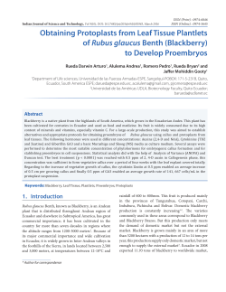 Obtaining Protoplasts from Leaf Tissue Plantlets of Rubus glaucus