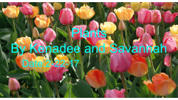 Plants By Kenadee and Savannah