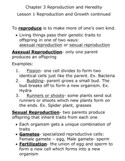 Genetic Traits