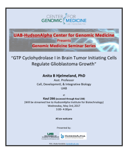GTP Cyclohydrolase I in Brain Tumor Initiating Cells Regulate