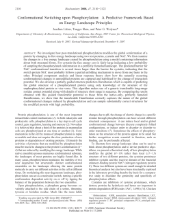 Conformational Switching upon Phosphorylation