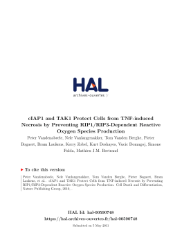 cIAP1 and TAK1 Protect Cells from TNF-induced Necrosis by