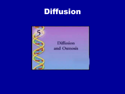 Osmosis of Water through a Cell Membrane
