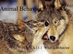 Animal Behavior - ISMScience.org