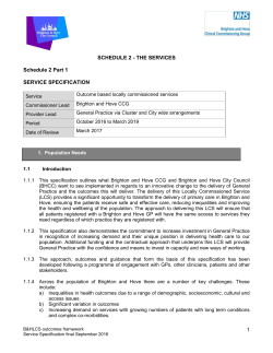 the file - NHS Brighton and Hove CCG