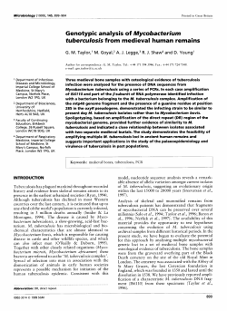 Genotypic analysis of Mycobacterium tuberculosis