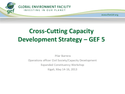 Cross-Cutting Capacity Development Strategy &ndash; GEF 5