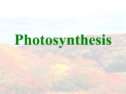 Photosynthesis - hrsbstaff.ednet.ns.ca