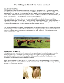 here - American Milking shorthorn society