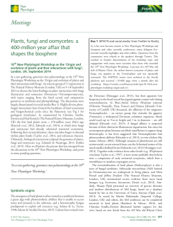 Plants, fungi and oomycetes