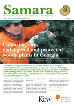 Collecting rare, endangered and protected woody plants in Georgia