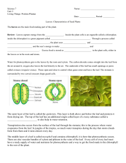 Science 7 Name: Unit 3 Living Things: Protista