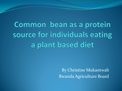 Common bean as a protein source for individuals eating a plant