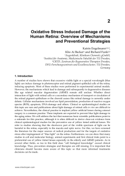 Oxidative Stress Induced Damage of the Human Retina
