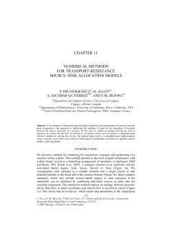 chapter 11 numerical methods for transport