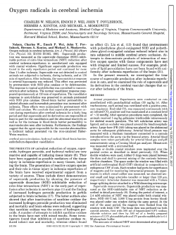 Oxygen radicals in cerebral ischemia