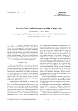 Influence of turgor and cell size on the cracking of potato tissue