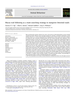 Mucus trail following as a mate-searching strategy in mangrove