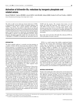 Activation of biliverdin-IX&alpha; reductase by inorganic phosphate and