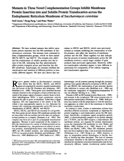 Mutants in Three Novel ComplementationGroups Inhibit