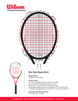 Six One Team BLX - Wilson Sporting Goods