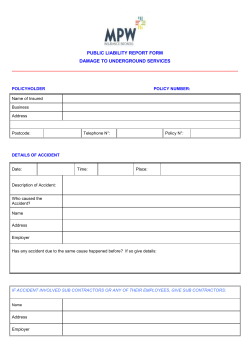 Public Liabiilty and Underground Services Report Form