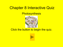 Chapter 1 Interactive Quiz