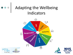 Adapting the Wellbeing Indicators.