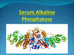 Serum Alkaline Phosphate