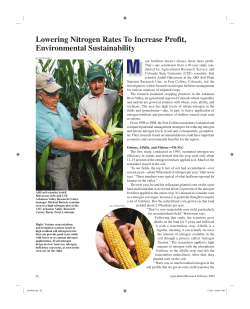 Lowering Nitrogen Rates To Increase Profit, Environmental