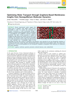 Optimizing Water Transport through Graphene