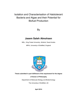 Isolation and Characterisation of Halotolerant Bacteria and Algae