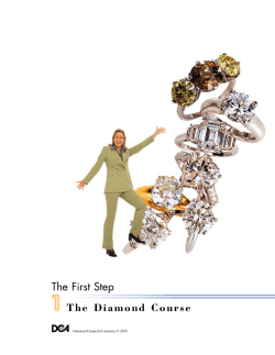 The Diamond Course The First Step