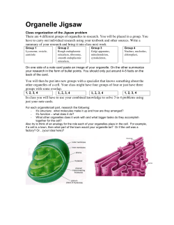 Organelle Jigsaw