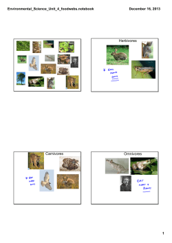 Herbivores Carnivores Omnivores