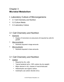 3.10 Respiration: Electron Carriers
