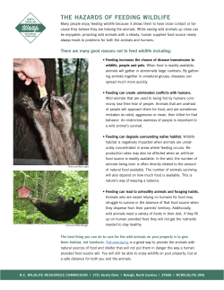the hazards of feeding wildlife - North Carolina Wildlife Resources